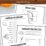Pumpkin Worksheets for Elementary on a table