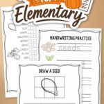 Pumpkin Worksheets for Elementary on a table