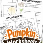 Pumpkin Worksheets for Elementary on a table