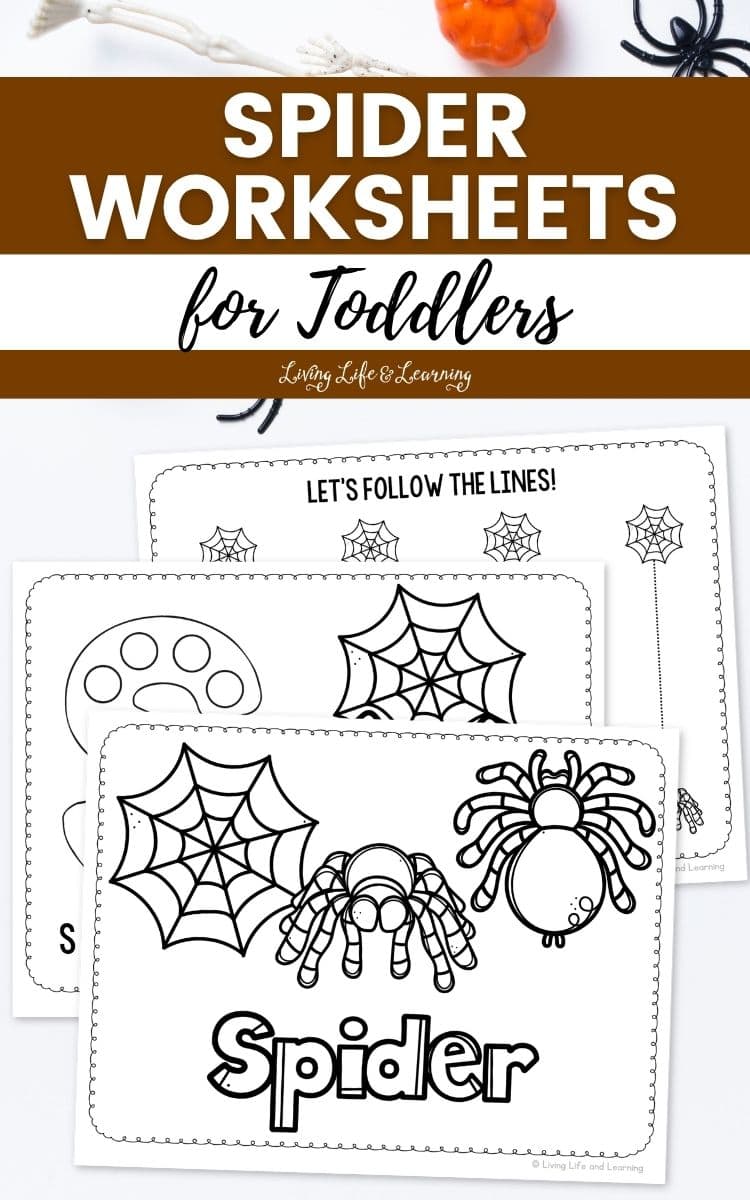 Spider Worksheets for Toddlers placed on a table