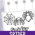 Spider Worksheets for Toddlers placed on a table